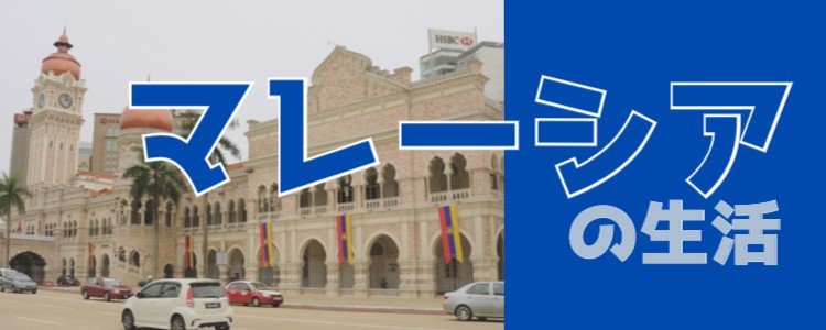 cook 今日なに作ろ？